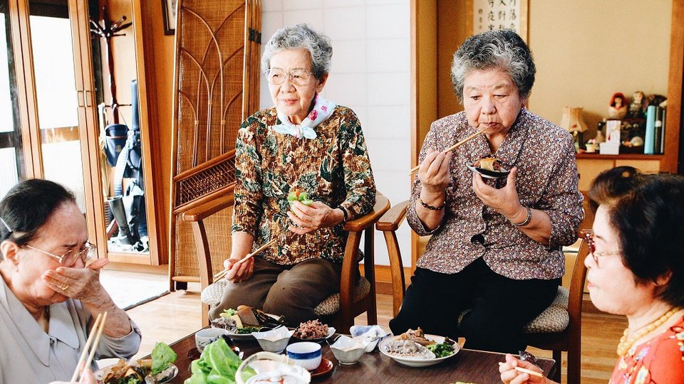 Hình ảnh bài viết NIPIKO