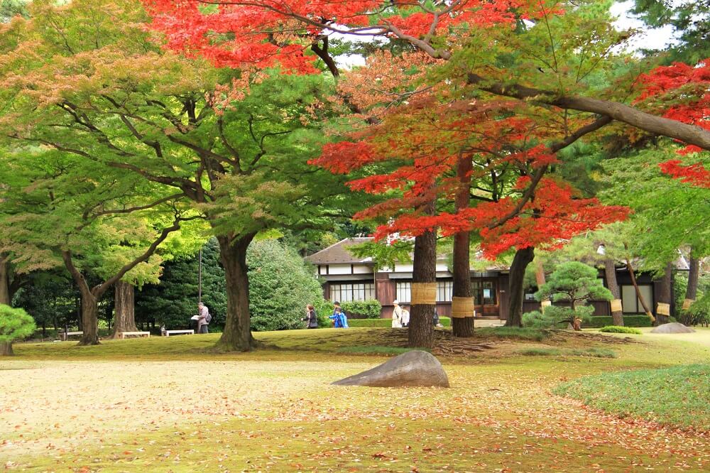 Photo: https://parkful.net