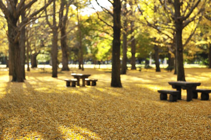Photo: https://rtrp.jp