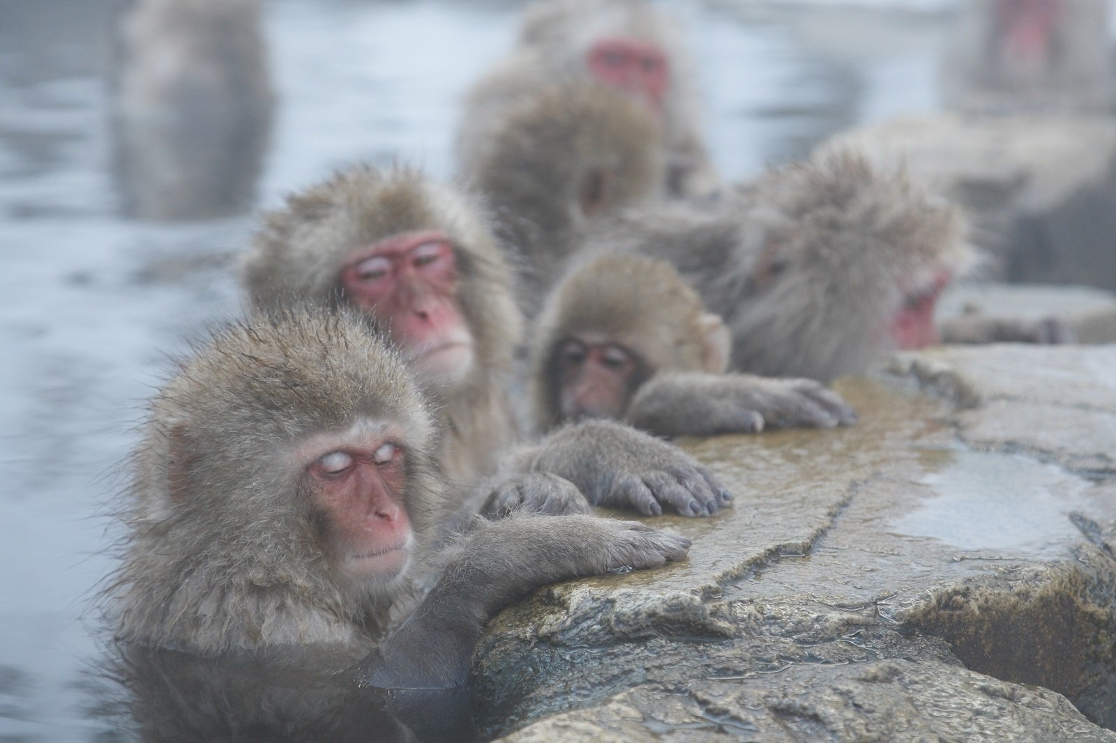 Photo: https://www.go-nagano.net