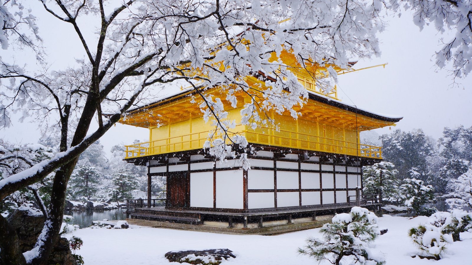 Một góc khác của Kinkakuji vào mùa đông/ Photo: http://kyotomoyou.jp