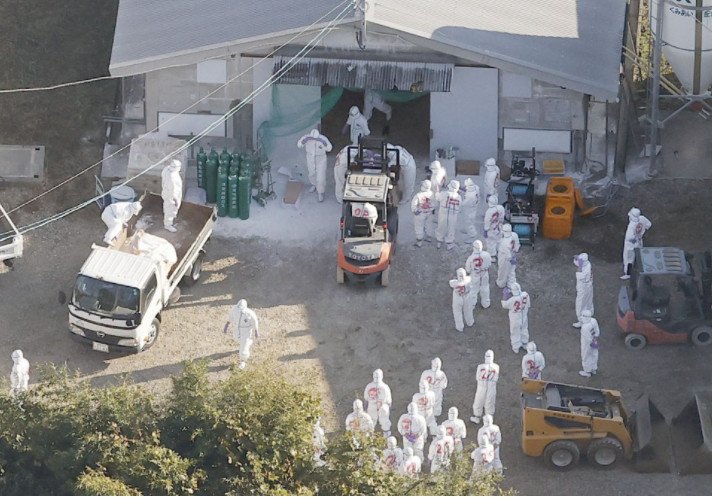 Binh sĩ từ Lực lượng Phòng vệ giúp tiêu hủy gia cầm bị cúm / Photo: Kyodo News