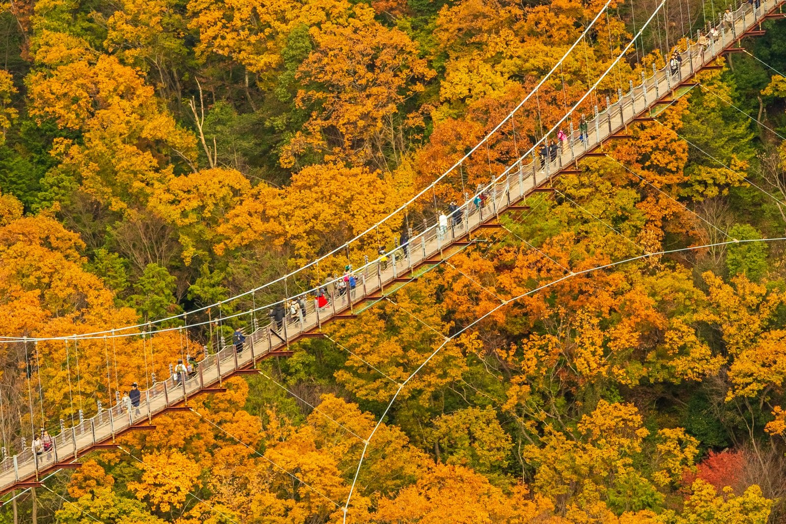 Hoshi no Buranko / Photo: https://tripeditor.com