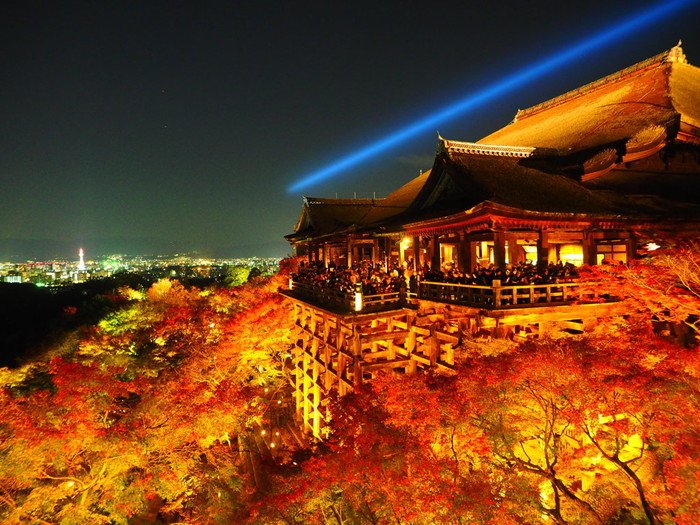 Photo: icotto.jp