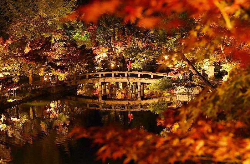 Photo: https://mainichi.jp
