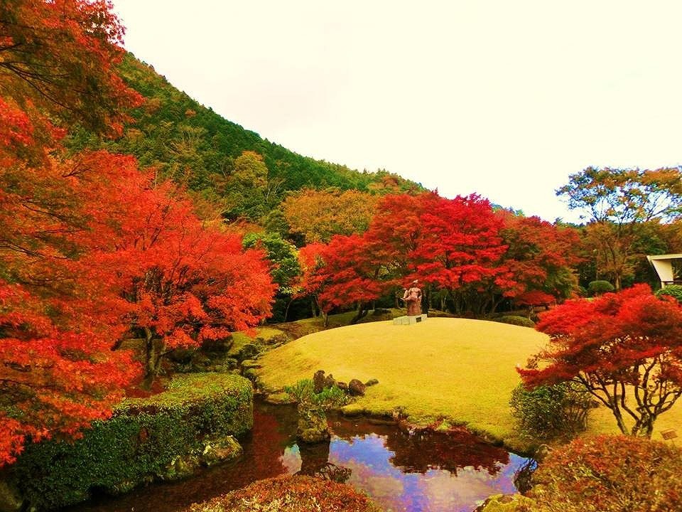 Công viên Showa no Mori / Photo: https://japantravel.navitime.com