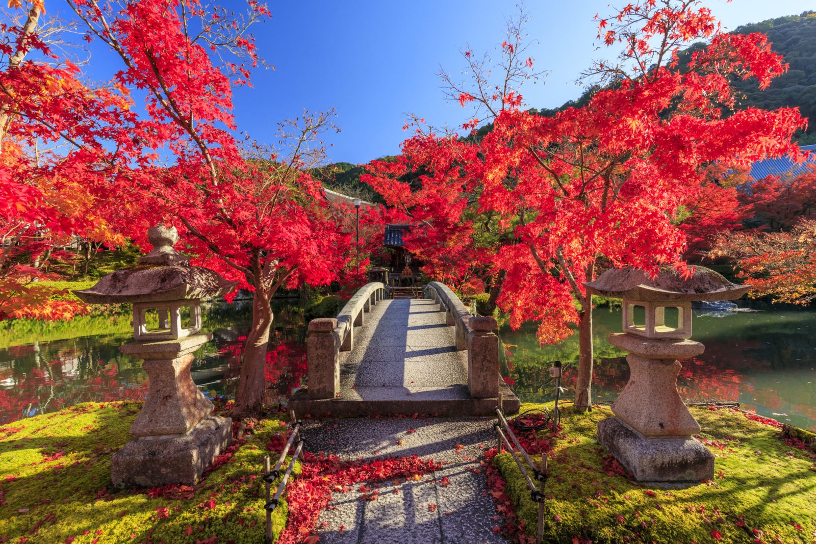 Photo: https://caede-kyoto.com