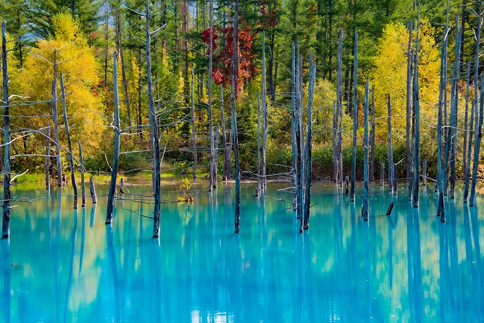 Photo: https://airticket-mall.com