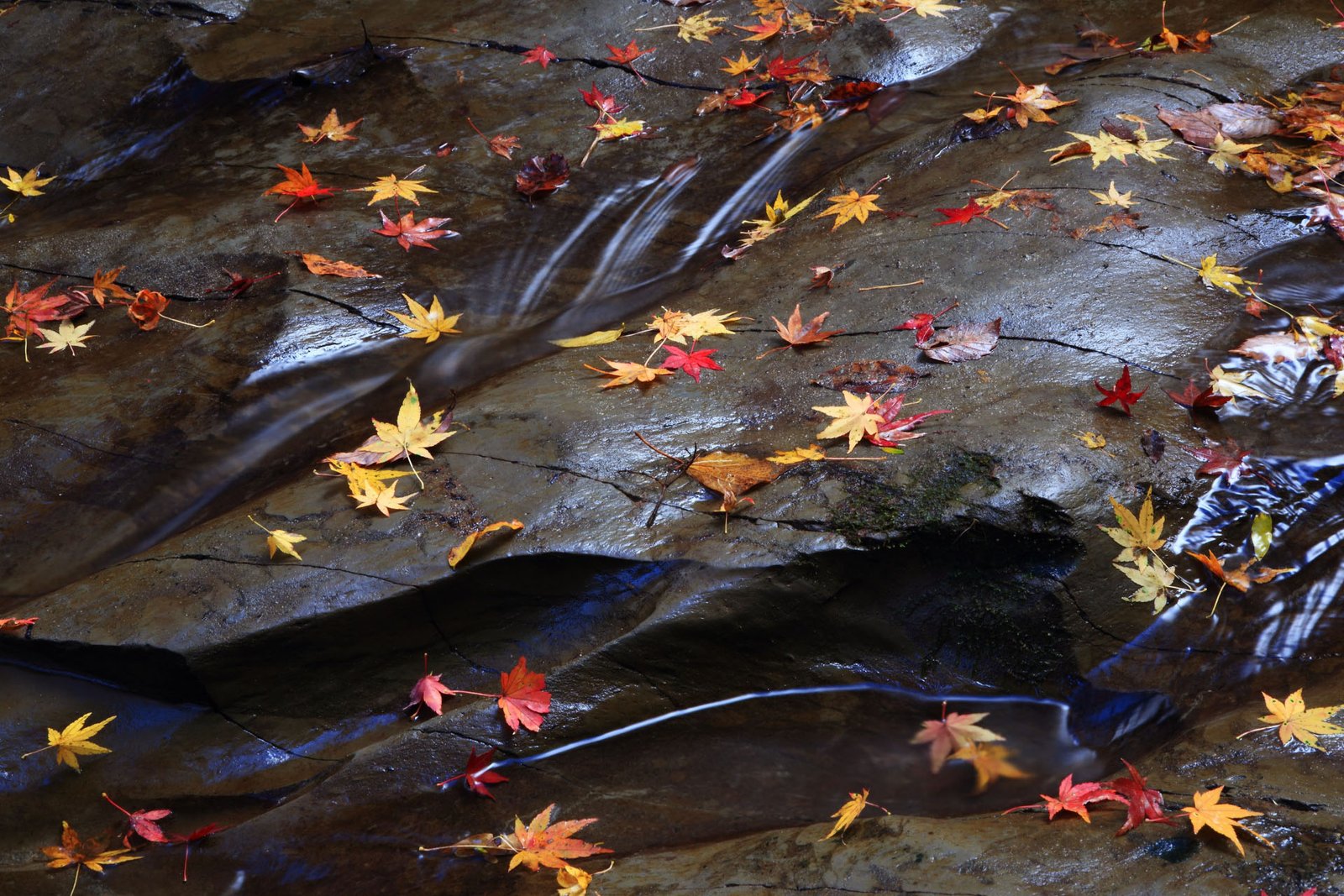 Thung lũng Umegase-keikoku / Photo: https://view.japan-web-magazine.com