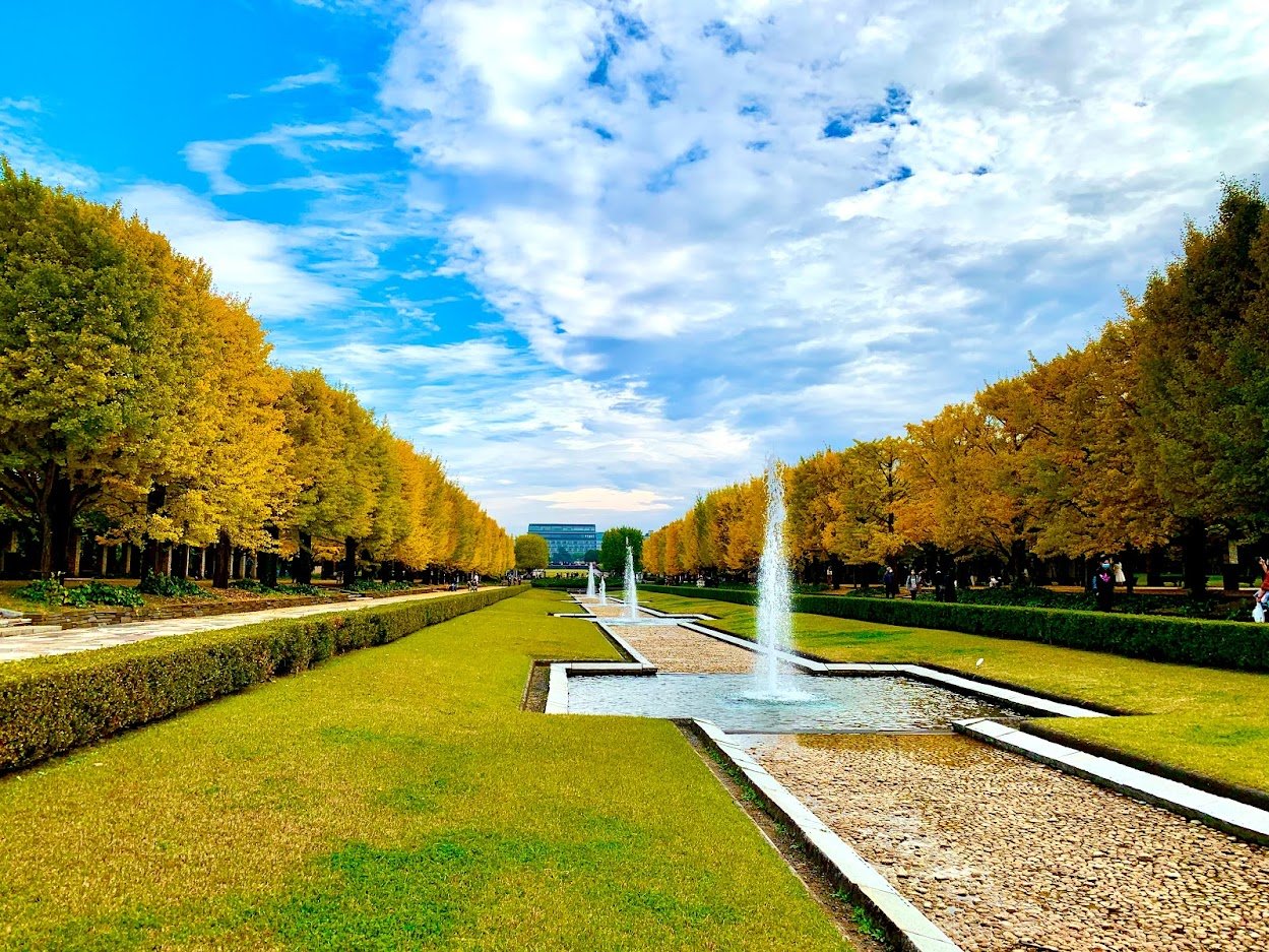 Top 5 địa điểm ngắm lá vàng ở Tokyo