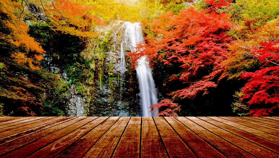 Thác Minoo trong công viên Minoo / Photo: https://travel.gaijinpot.com