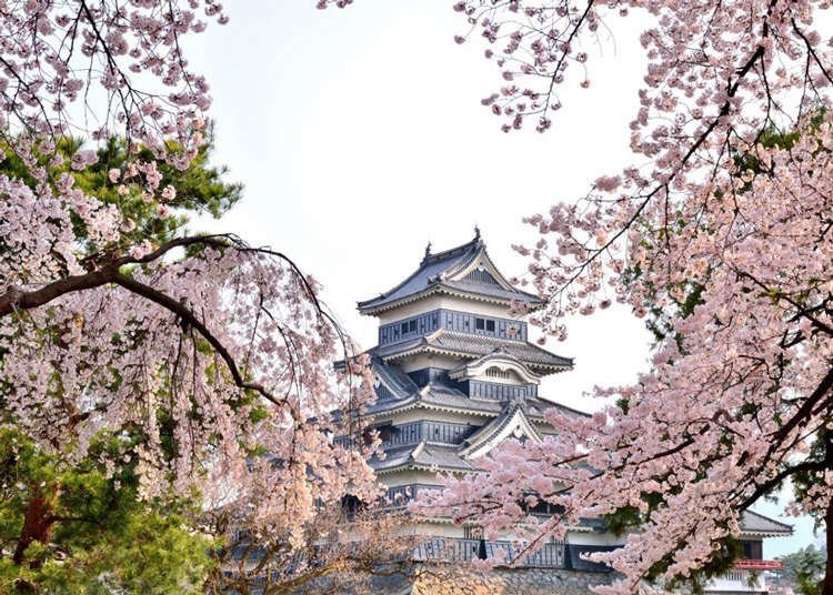 Photo: https://livejapan.com