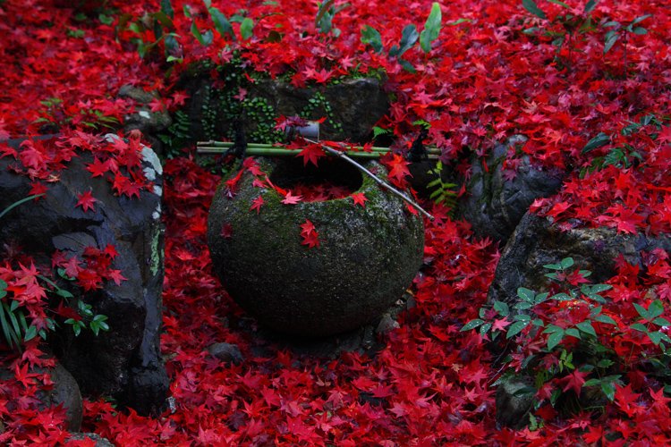 Photo: https://youpv.exblog.jp