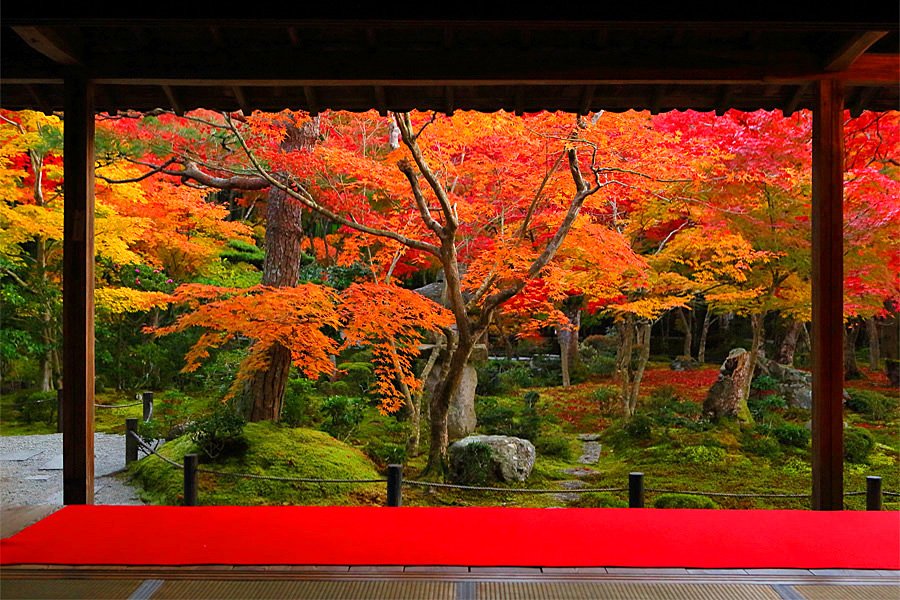 Photo: imamiya.jp