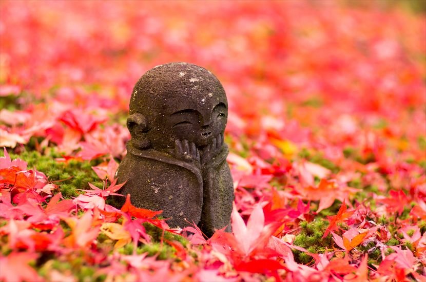 Photo: zekkeigogo.com