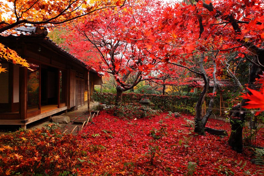 Photo: http://www.imamiya.jp