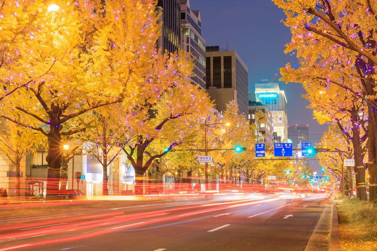 Đại lộ Midosuji về đêm / Photo: https://jp.zekkeijapan.com