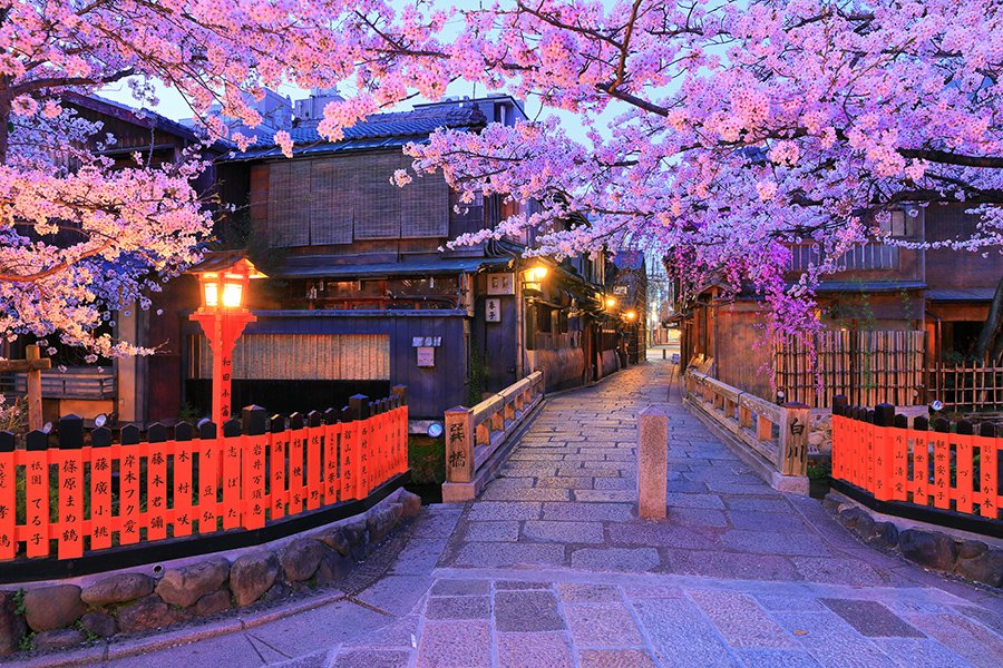 Gion Shirakawa vào mùa xuân / Photo: http://www.imamiya.jp