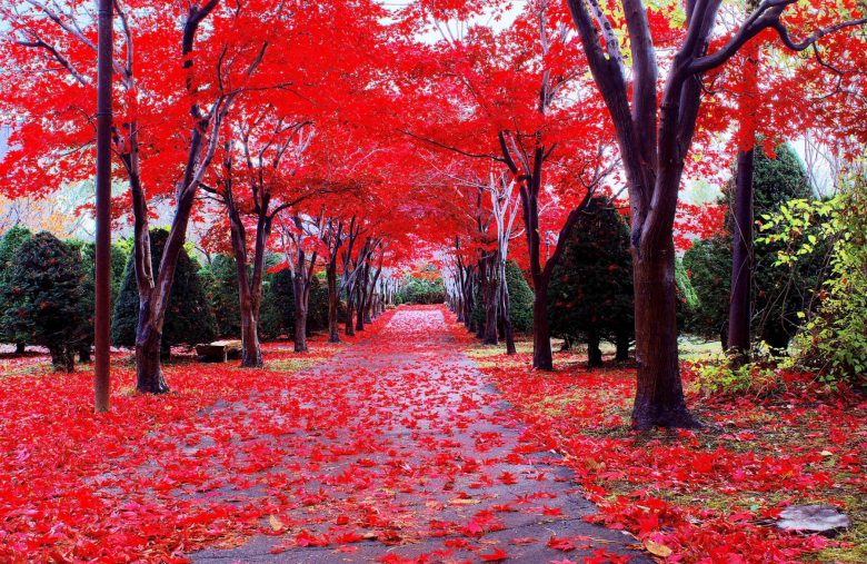 Photo: https://tabi-suki.net