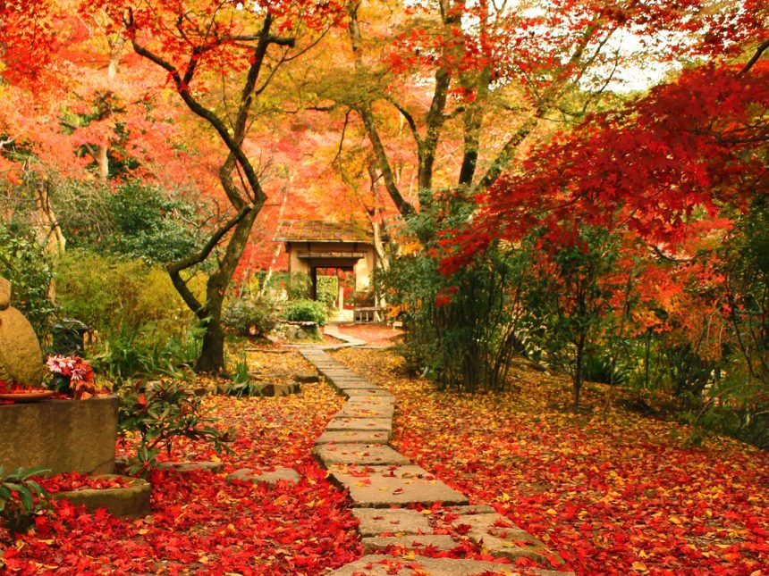 Jikishian vào mùa thu / Photo: https://kyoto-sampo.jp