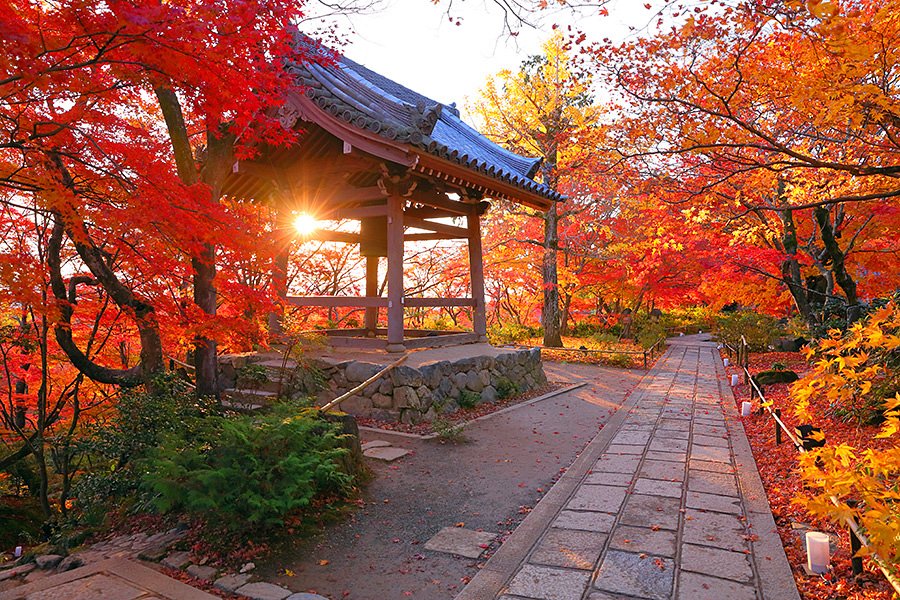 Top 10 địa điểm ngắm lá thu ở Kyoto