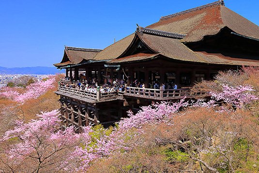 Chùa Kiyomizu-Dera vào mùa xuân / Photo: http://www.imamiya.jp