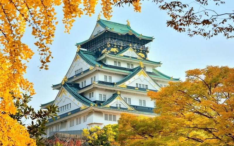 Lâu đài Osaka nhìn từ một góc khác với sắc vàng của lá bạch quả mùa thu/ Photo: https://aumo.jp