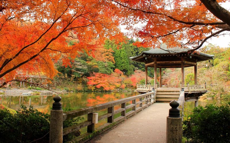 Công viên Naritasan / Photo: https://aumo.jp