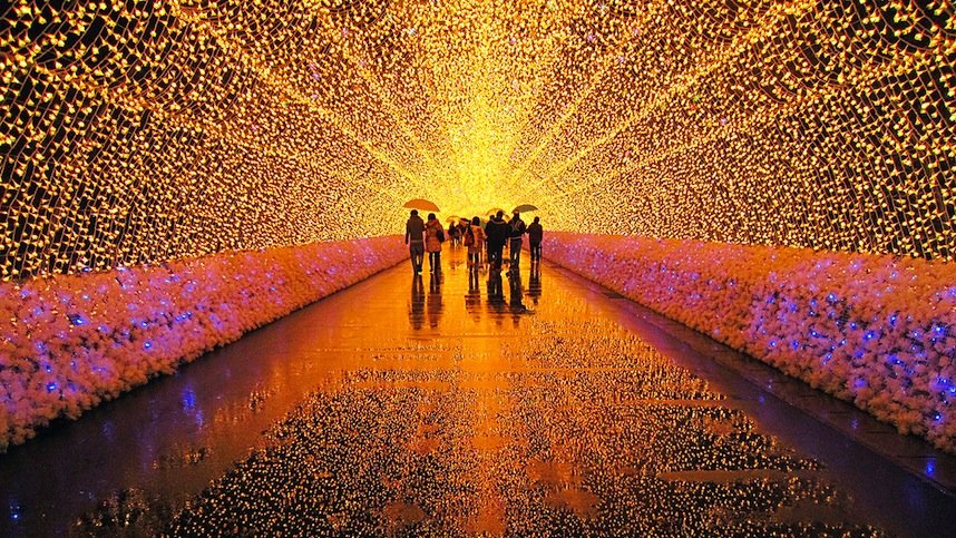 Hình ảnh bài viết NIPIKO