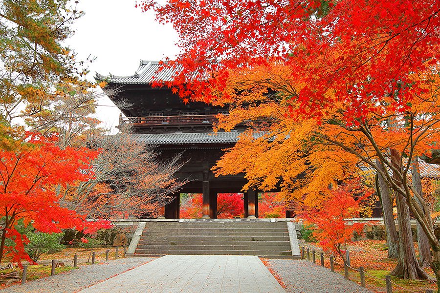 Nanzenji mùa thu/ Photo: http://www.imamiya.jp