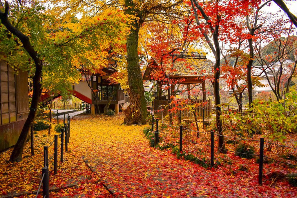 Chùa Hondoji / Photo: https://sp.jorudan.co.jp