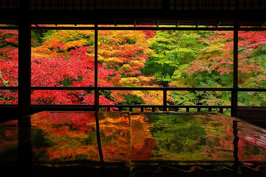 Photo: imamiya.jp