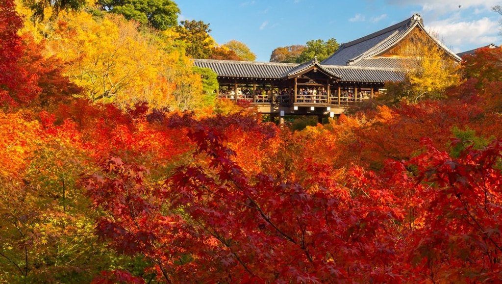 Photo: https://skyticket.jp