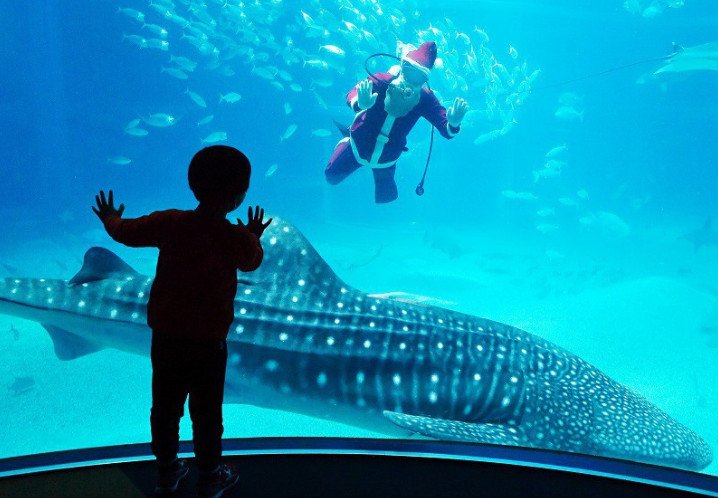 Các bé chắc hẳn thích thú với khung cảnh này/ Photo: Mainichi Shimbun
