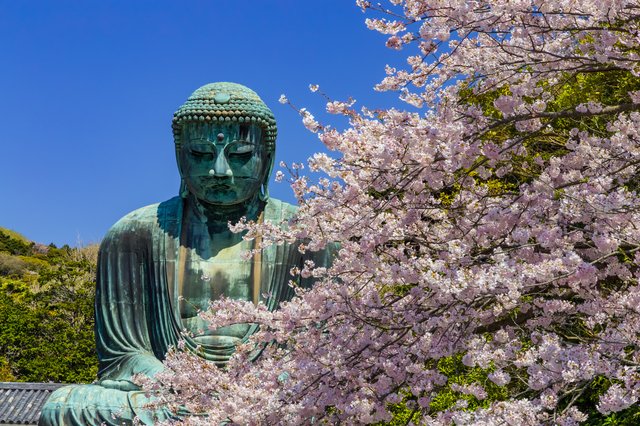 Tượng Phật biểu tượng của Kamakura vào mùa xuân / Photo: https://www.kamakura-jisho.co.jp/
