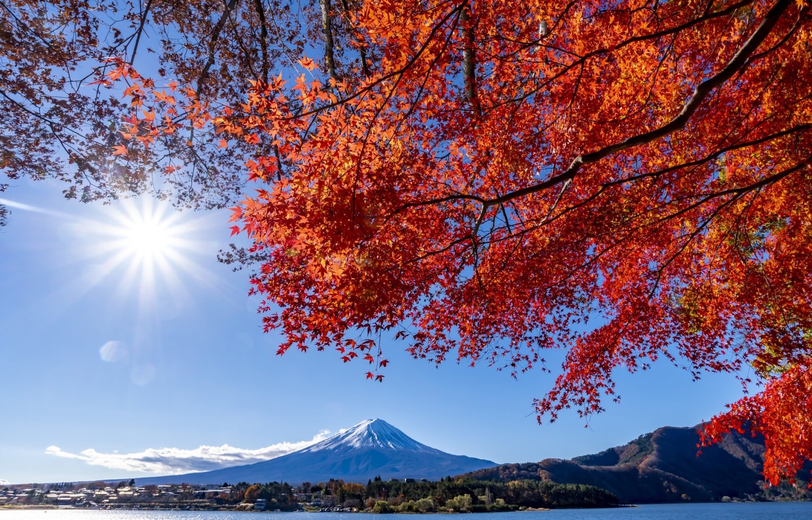 Mùa lá đó Nhật Bản đang vào độ đẹp nhất / Photo: https://allabout-japan.com