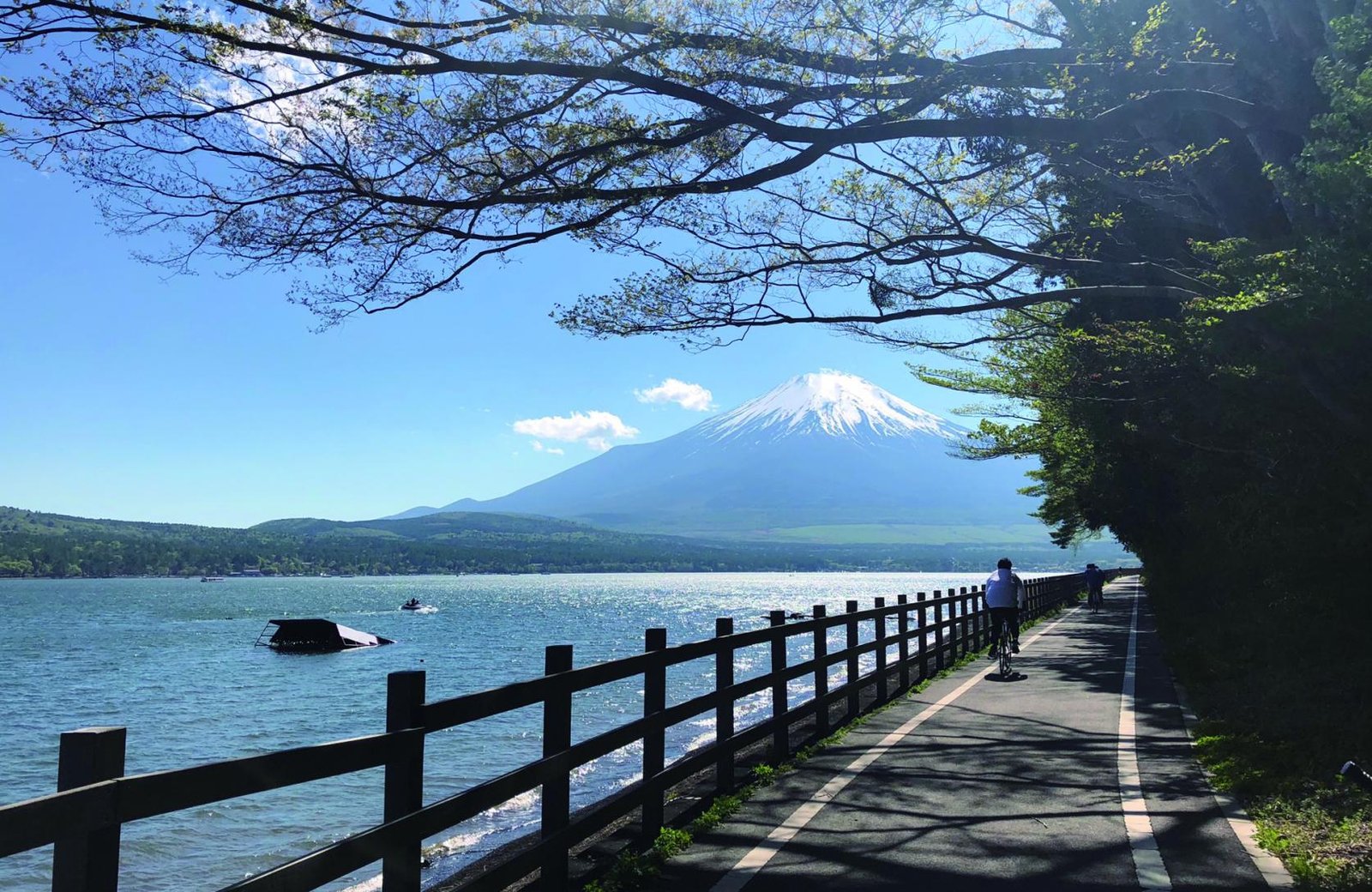Photo by: https://lake-yamanakako.com/